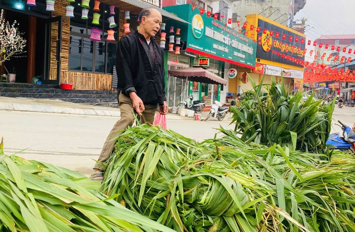 Chị Lý Thị Xay đã bán được những bó cỏ chít xanh mướt cho đàn trâu nhà anh Giàng Seo Pao.
