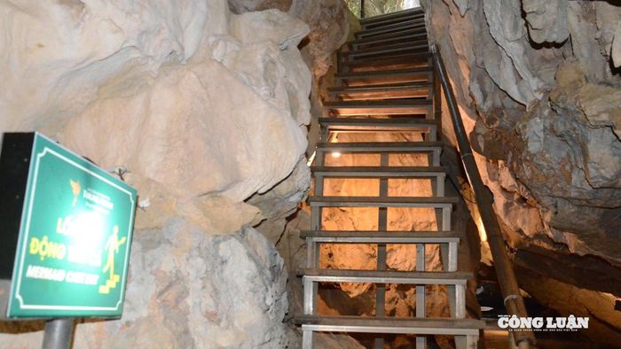 Hành trình khám phá động Tiên Cá bắt đầu bằng việc chinh phục những bậc đá dẫn lên cửa hang, trước khi tiếp tục men theo khoảng 40 bậc thang sắt hun hút đi sâu vào lòng núi. Càng tiến vào bên trong, không gian bên ngoài dường như khép lại, nhường chỗ cho cảm giác mát lạnh, tĩnh tại, khiến du khách có cảm giác như đang bước sang một thế giới khác – bí ẩn và nguyên sơ giữa lòng đất.