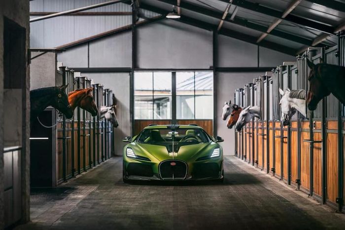 Bugatti Brouillard là mẫu hypercar độc bản từ chương trình Programme Solitaire. Chiếc xe được đặt tên theo con ngựa "Sương Mù" của ông Ettore Bugatti.