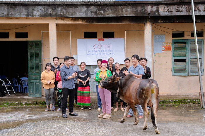 Cấp phát bò con giống cho tổ sinh kế nuôi bò bản địa thôn Khâu Mèng. Ảnh: Trung tâm Nghiên cứu Sáng kiến và Phát triển cộng đồng 