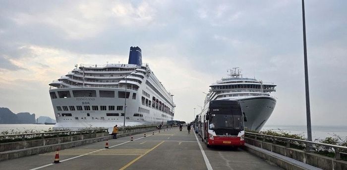 Hai tàu Seaborn Encore và Piano Land cập cảng Hạ Long trong ngày đầu tiên của năm mới Bính Ngọ 2026. Ảnh: ND