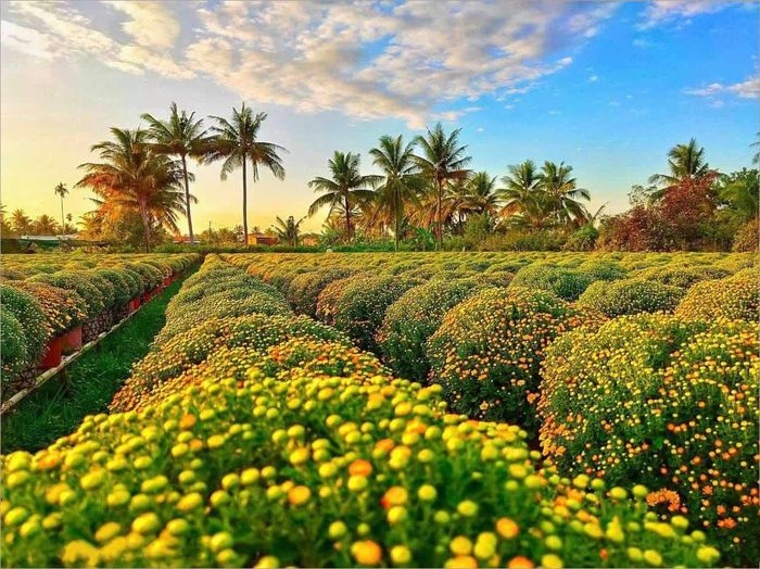 + Ca khúc “Mùa xuân, làng lúa làng hoa” đã trở thành biểu tượng cho sự tươi đẹp của vùng quê ven đô. Nhưng trong bối cảnh hiện tại, khi những cánh đồng lúa đang dần nhường chỗ cho các khu đô thị mới, những làng hoa đang thu hẹp từng năm, ông có suy nghĩ, nỗi niềm, hay những trăn trở trước sự thay đổi này. Liệu rằng, những “làng lúa làng hoa” sẽ chỉ còn tồn tại trong âm nhạc và ký ức?
