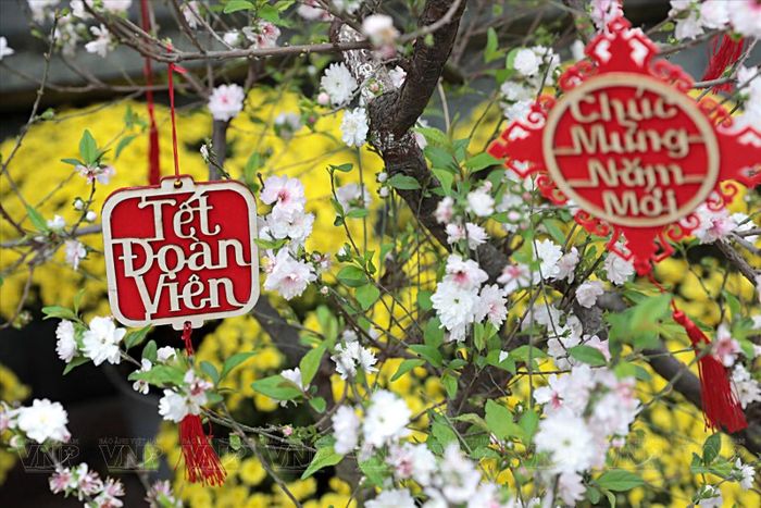Những lời chúc may mắn đầu Xuân. Ảnh: Báo Ảnh Việt Nam