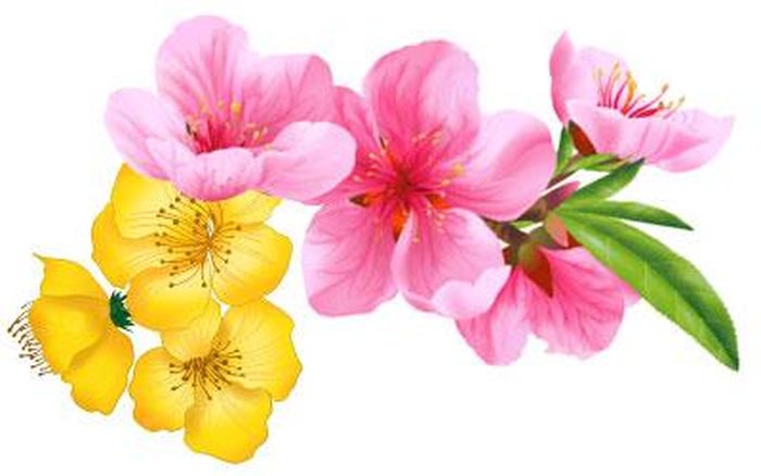 Xây dựng Quân đội nhân dân (QĐND) Việt Nam vững mạnh về chính trị là vấn đề có ý nghĩa sống còn, là nền tảng căn cốt, chi phối toàn bộ quá trình xây dựng, chiến đấu, chiến thắng và trưởng thành của Quân đội. Thực tiễn cách mạng Việt Nam khẳng định chân lý: Quân đội ta mạnh trước hết là mạnh về chính trị; thắng lợi của Quân đội bắt nguồn từ bản lĩnh chính trị vững vàng, từ sự trung thành tuyệt đối với Tổ quốc, với Đảng, Nhà nước và nhân dân. Chính trị không chỉ là “linh hồn” mà còn là nguồn sức mạnh nội sinh, quyết định phương hướng, mục tiêu, ý chí chiến đấu và khả năng hoàn thành mọi nhiệm vụ của QĐND Việt Nam.