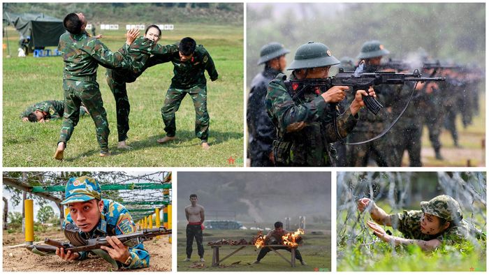 Khả năng sẵn sàng chiến đấu của toàn quân được nâng lên, đáp ứng ngày càng tốt hơn yêu cầu, nhiệm vụ bảo vệ Tổ quốc trong tình hình mới.