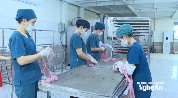 Sản xuất mì rau củ hữu cơ tại công ty CP An An Agri. Ảnh: Việt Anh