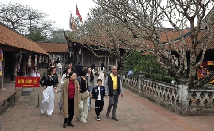 Du khách trẩy hội chùa Keo đầu xuân Bính Ngọ. Ảnh: Xuân Vũ