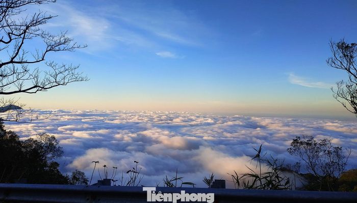  Nằm ở phần cuối dãy Trường Sơn Bắc, Vườn Quốc gia Bạch Mã sở hữu địa hình đa dạng, gồm núi trung bình, núi thấp và vùng chuyển tiếp từ chân núi lên đai cao hơn 1.712m. Thuộc vùng khí hậu nhiệt đới gió mùa, nơi đây được xem là một trong những khu rừng có mức độ đa dạng sinh học cao, đóng vai trò quan trọng trong bảo tồn hệ sinh thái và cân bằng môi trường tự nhiên khu vực miền Trung. Ảnh: VQGNM 