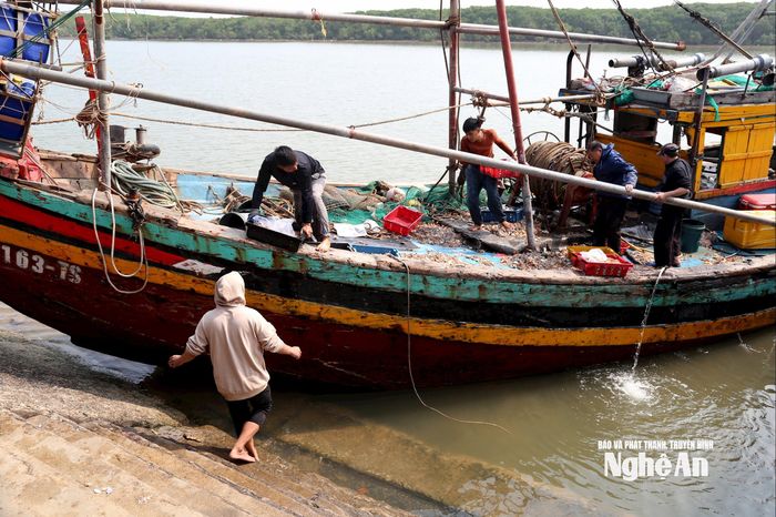 Ngư dân hối hả chuyển hải sản từ tàu cá vào cảng để xuất bán cho thương lái. Ảnh: Xuân Hoàng