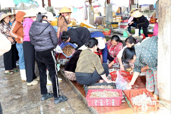 Cảng cá Lạch Vạn nhộn nhịp thương lái thu mua hải sản. Ảnh: Xuân Hoàng