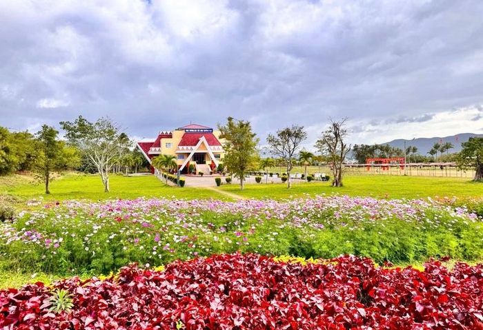 Nhà trưng bày Tây Sơn Thượng Đạo thuộc Di tích lịch sử quốc gia đặc biệt An Khê Trường (phường An Khê).