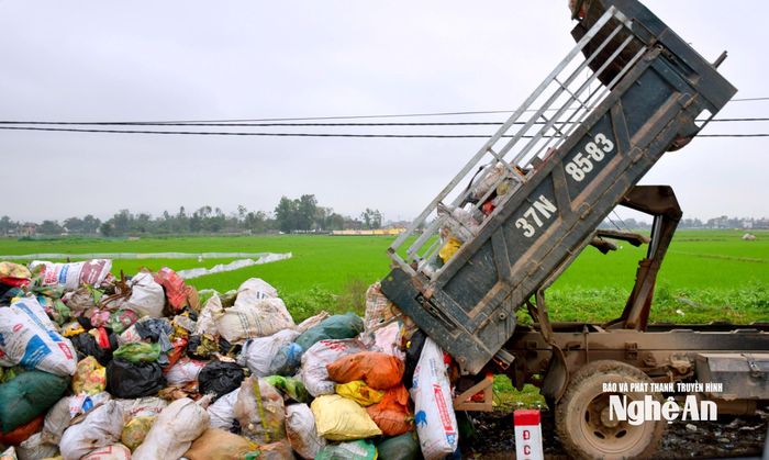 Thu gom các bãi rác tự phát tại khu vực nông thôn. Ảnh: Q.A