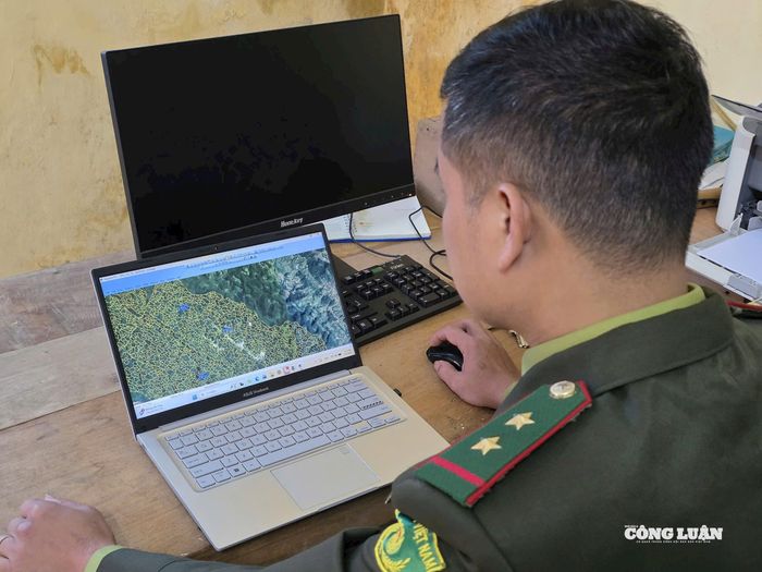 Kiểm lâm viên xem bản đồ tuần tra rừng