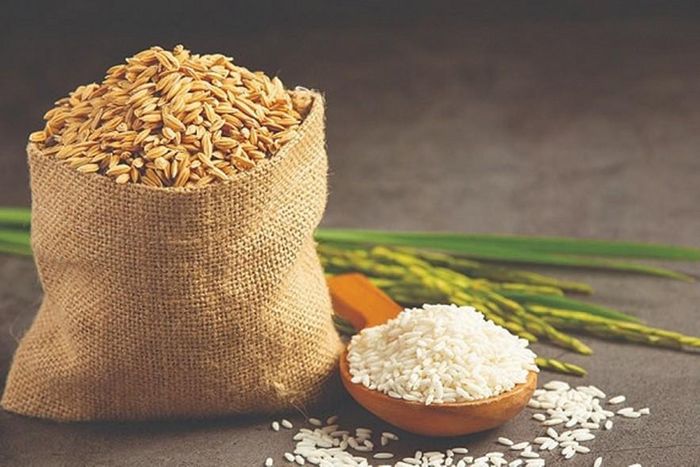 Giá lúa gạo hôm nay tại khu vực Đồng bằng sông Cửu Long ít biến động. Ảnh tư liệu