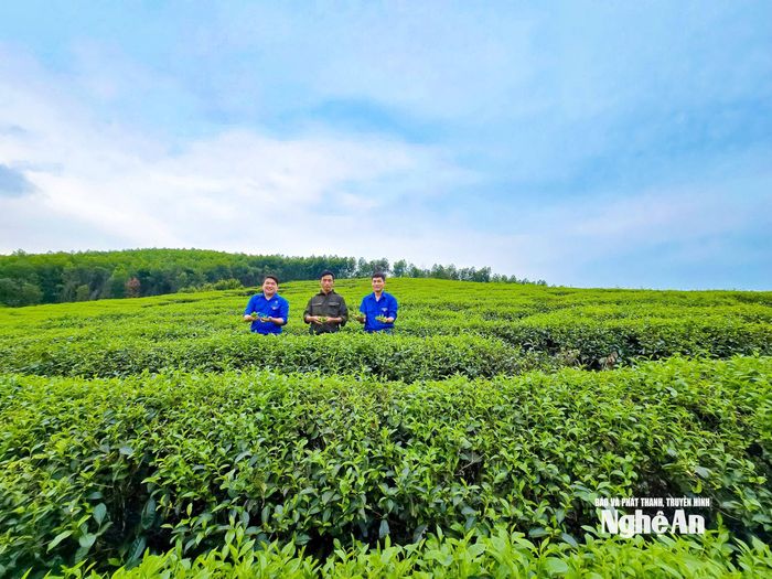 Bước sang năm mới, điển hình thanh niên sản xuất kinh doanh giỏi Nguyễn Văn Luật (SN 1994, xóm Hòa Sơn, xã Kim Bảng) đang thực hiện các mục tiêu để nâng cao giá trị sản xuất từ trang trại của mình. Ảnh: Thanh Quỳnh