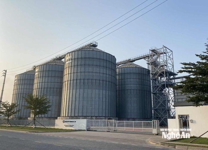 Nhà máy sản xuất viên nén gỗ Biomass Fuel Việt Nam. Ảnh: Trân Châu