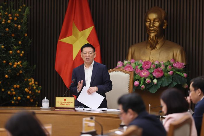 Phó Thủ tướng Chính phủ Hồ Đức Phớc kết luận cuộc họp. Ảnh: VGP.