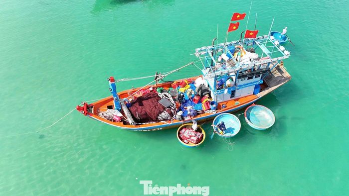 Theo ông Cu, chỉ sau một đêm vươn khơi, mỗi tàu có thể thu từ 2-4 tấn cá nục là chuyện bình thường trong mùa chính vụ.