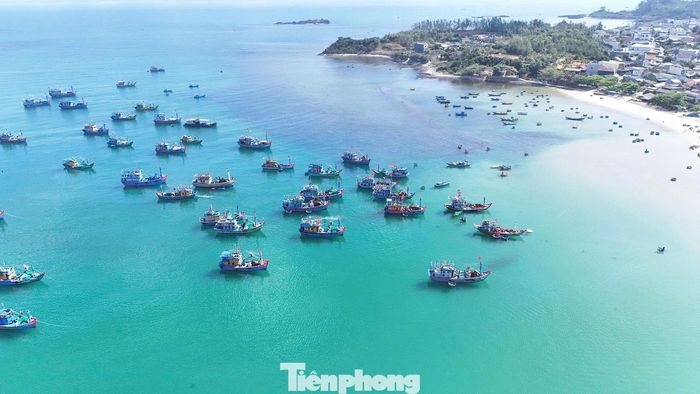 Không chỉ mang lại nguồn thu ổn định, những chuyến biển trúng đậm đầu năm còn tiếp thêm động lực để ngư dân Quảng Ngãi giữ nghề, gắn bó với biển.
