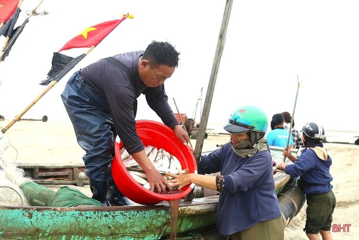  “Những ngày qua, tàu của tôi chủ yếu đánh bắt cá xóc, mỗi chuyến được từ 5 – 7kg. Loại cá này hiện đang được bán 300 nghìn đồng/kg, cao hơn dịp trước Tết 50 nghìn đồng” – ngư dân Trần Văn Thủy ở thôn Yên Ngư chia sẻ. 