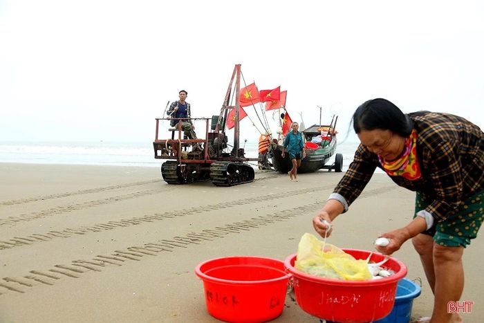 Các loại hải sản tươi rói được đưa lên bờ