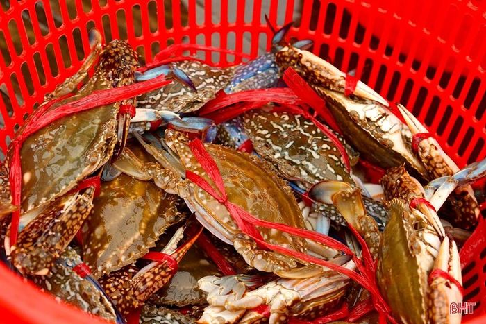 Sau Tết, nhu cầu tiêu thụ hải sản tươi sống tăng cao nên các loại như: ghẹ, tôm tít, cá xóc, cá trích... đều tăng từ 10 – 20% so với dịp trước và trong Tết Nguyên đán 2026 nên bà con ngư dân rất phấn khởi.