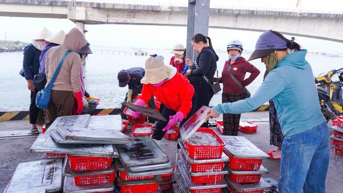 'Lộc' từ biển do tàu anh Hồ Văn Quốc đánh bắt được sau 4 ngày ra khơi.