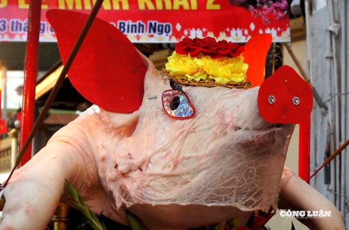 "Ông lợn" trong lễ hội được trang trí gồm nhiều vị trí như mũi, mắt, tai, đầu, đuôi...