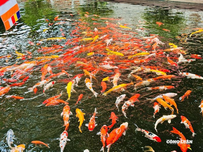 Chùa Hà nổi tiếng linh thiêng, là nơi mang tới duyên lành và bình an trong tâm hồn mỗi người.