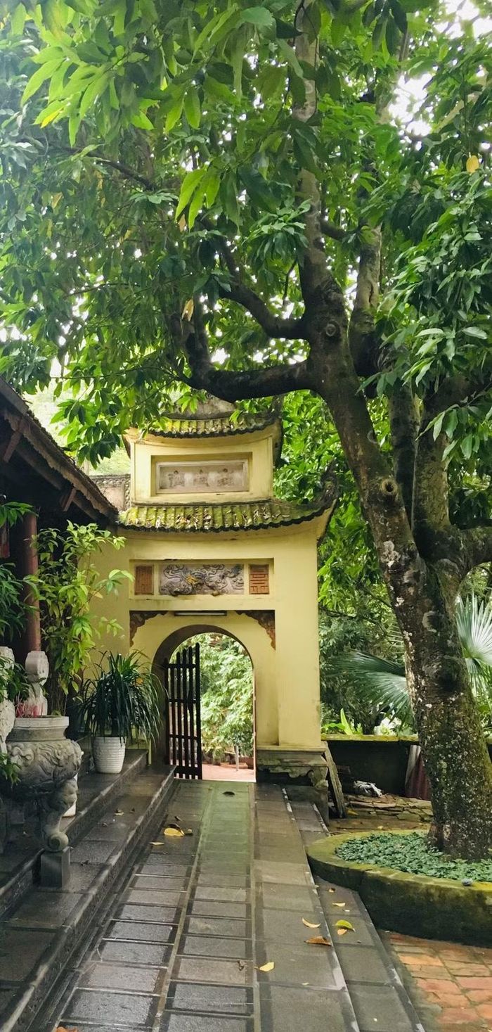 Vẻ đẹp cổ kính, tĩnh lặng của chùa Tiêu. Ảnh: Thanh Hằng