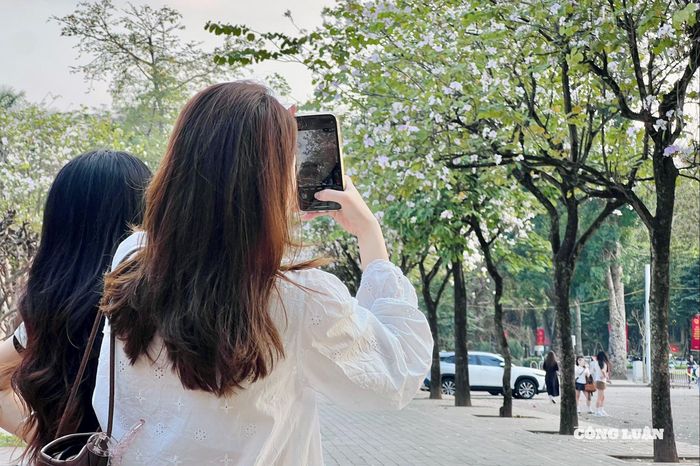 Nhiều bạn trẻ check-in với hoa ban.
