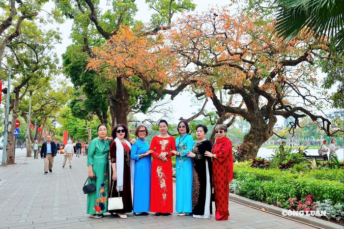 Du khách chụp hình bên cây lộc vừng cổ thụ ở phố Đinh Tiên Hoàng đang thay lá, chuyển mình sang mùa xuân.