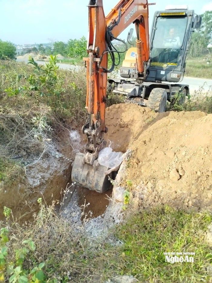 Lực lượng chức năng tiêu hủy lợn bị dịch theo quy định. Ảnh: Bích Hường