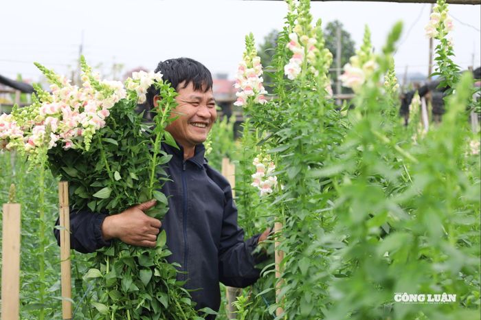 Nụ cười rạng rỡ của người dân làng hoa khi vụ hoa năm nay được giá trong dịp 8/3.