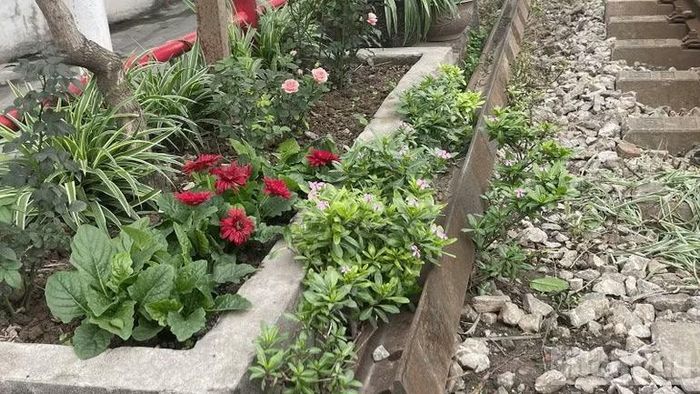 Những khóm hoa nhỏ tô điểm cho đường ray thêm tươi tắn.