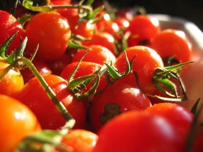 Giàu lycopene chống oxy hóa. Cà chua chứa hàm lượng cao lycopene – một chất chống oxy hóa mạnh tạo nên màu đỏ đặc trưng. Lycopene được nghiên cứu vì có khả năng hỗ trợ sức khỏe tim mạch và bảo vệ tế bào khỏi tổn thương do gốc tự do. Ảnh: Pinterest.