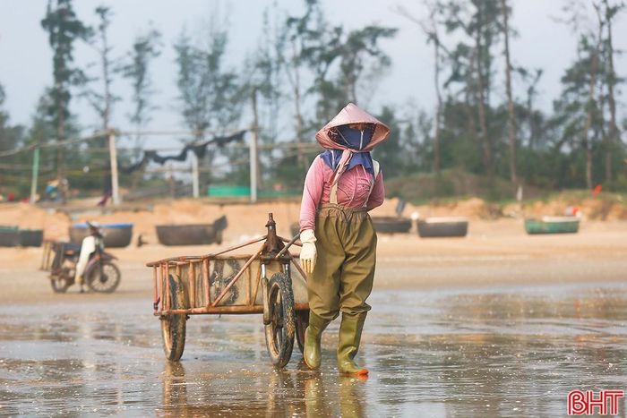 Tất cả đều rất hối hả với mong muốn kịp thời gian để lên thuyền đánh bắt chuyến tiếp theo.