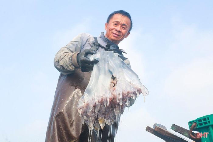  Chỉ với con thuyền công suất 24CV cùng 2 lao động, gia đình ông Hoàng Văn Đàn (thôn Đại Tiến, xã Đồng Tiến) đã có những chuyến biển đầy ắp sứa tươi. "Trong 1 ngày thời tiết thuận lợi, gia đình tôi có 4 chuyến đi biển, đã đánh bắt được khoảng 10 tấn sứa. Nhờ đó, mỗi lao động chúng tôi có thể thu về hơn 5 triệu đồng/ngày". 
