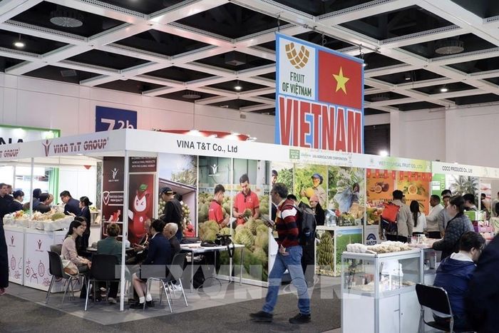 Khu trưng bày của Việt Nam tại Hội chợ Fruit Logistica 2026. Ảnh: Thùy Linh - PV TTXVN tại Đức