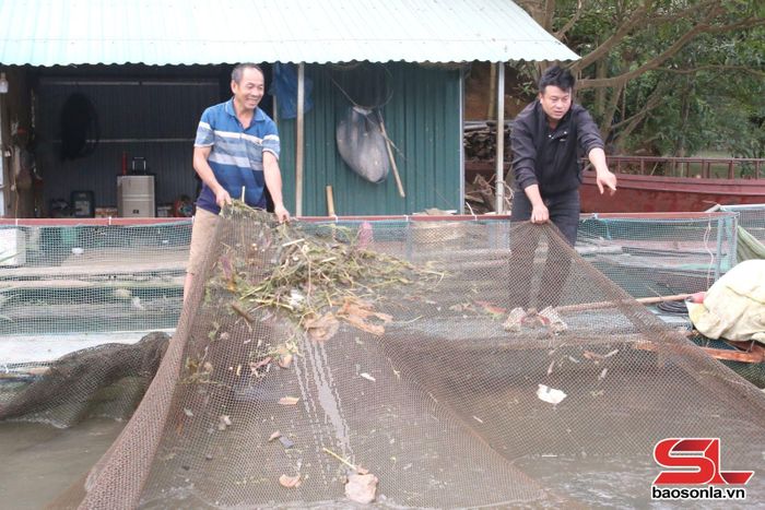 Mô hình nuôi cá lồng của hội viên Hội Nông dân xã Tạ Khoa.