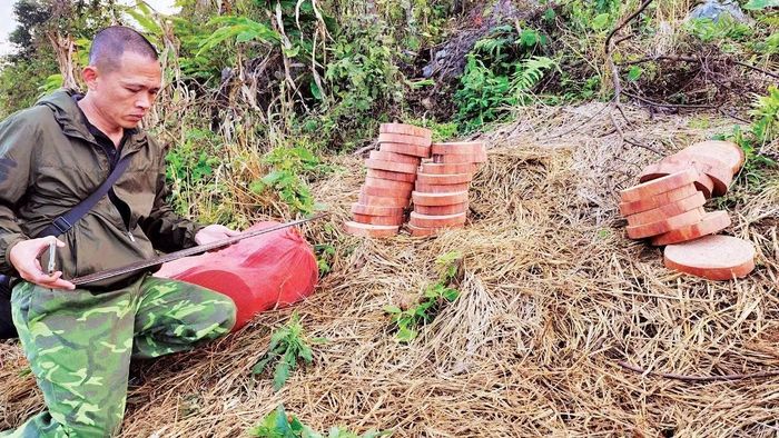 Nhà báo Luyện Ngọc Tuấn tìm hiểu thực tế khai thác gỗ nghiến trái phép tại rừng giáp ranh Sơn La - Điện Biên.