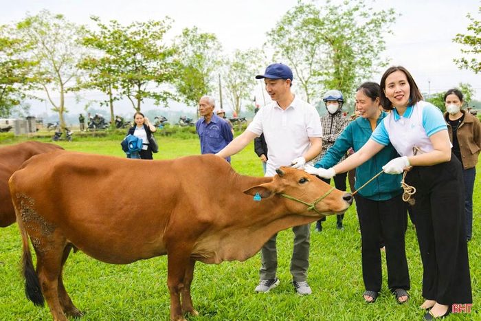 Trung ương Hội LHPN Việt Nam và Hội LHPN Hà Tĩnh trao bò giống cho phụ nữ khó khăn xã Sơn Tiến dịp cuối năm 2025.