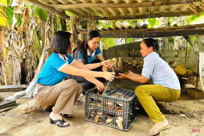  Từ tháng 7/2025 tới nay, Hội LHPN phường Bắc Hồng Lĩnh đã vận động trao tặng 123 mô hình sinh kế cho chị em khó khăn. Ảnh: Hội LHPN phường trao mô hình gà giống cho hội viên phụ nữ nghèo dịp tháng 1/2026. 