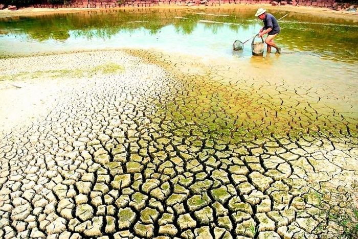 Bộ Nông nghiệp và Môi trường thông tin mới nhất về tình hình hạn hán, xâm nhập mặn ở miền Tây. Ảnh minh họa