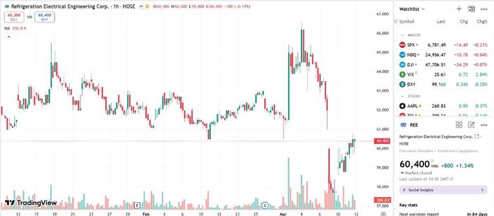 Sơ đồ giá cổ phiếu REE trên TradingView.