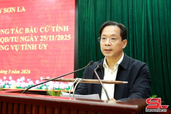 Đồng chí Bí thư Tỉnh ủy phát biểu tại cuộc họp.