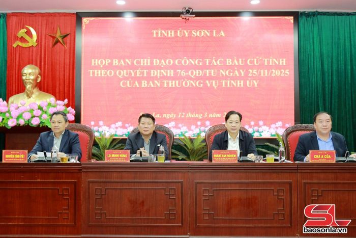 Các đồng chí Thường trực Tỉnh ủy chủ trì cuộc họp.