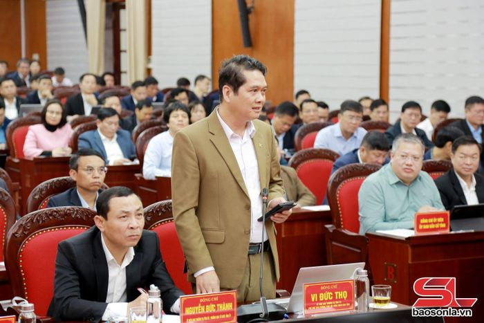 Đồng chí Vi Đức Thọ, Phó Chủ tịch Thường trực HĐND tỉnh phát biểu tại cuộc họp.