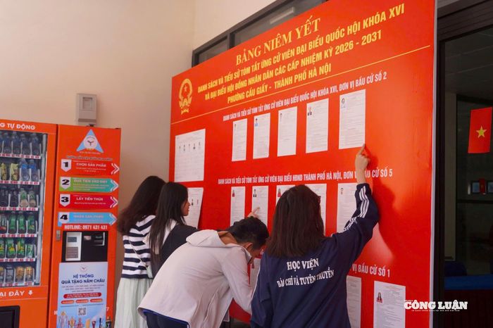 Các bạn trẻ chăm chú theo dõi bảng niêm yết danh sách cử tri và tiểu sử tóm tắt của các ứng cử viên tại khu vực bỏ phiếu, tìm hiểu thông tin trước ngày bầu cử.