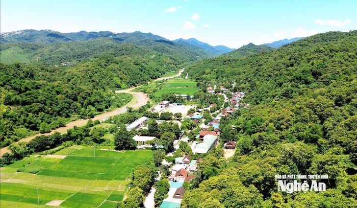 Nghệ An có diện tích rừng lớn. Ảnh tư liệu minh họa: Xuân Hoàng